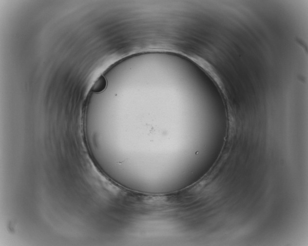 X0000103281006200809121941