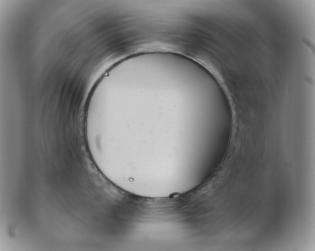 X0000103281008200809121941