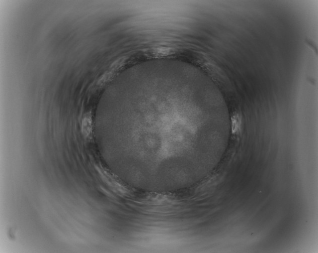 X0000103281011200809121940