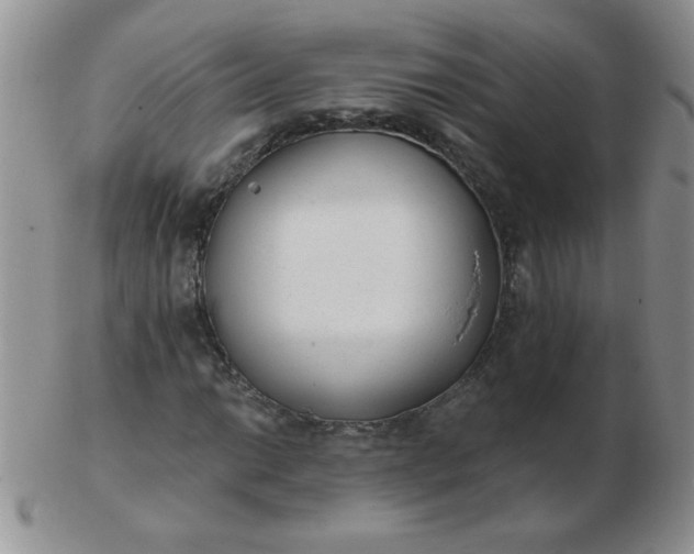 X0000103281014200809121940