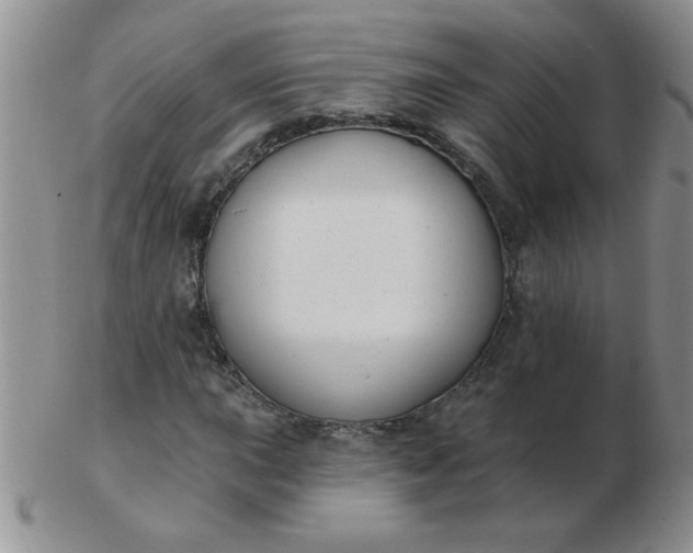 X0000103281015200809121940