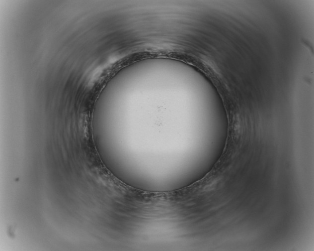 X0000103281016200809121940