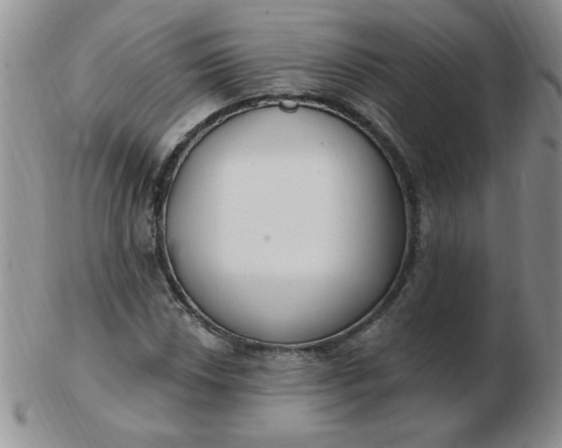 X0000103281018200809121940