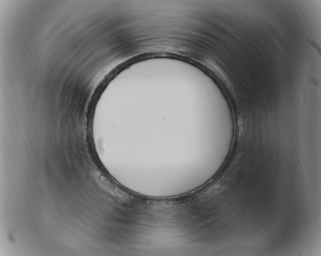 X0000103281020200809121940