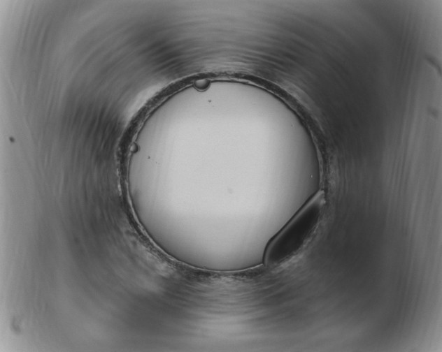 X0000103281022200809121940