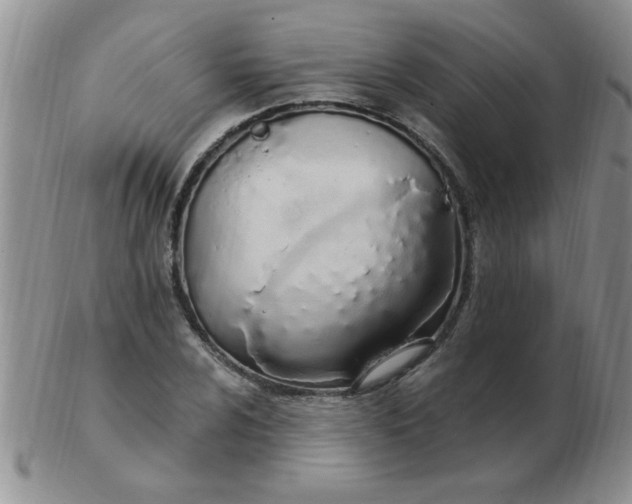 X0000103281024200809121940