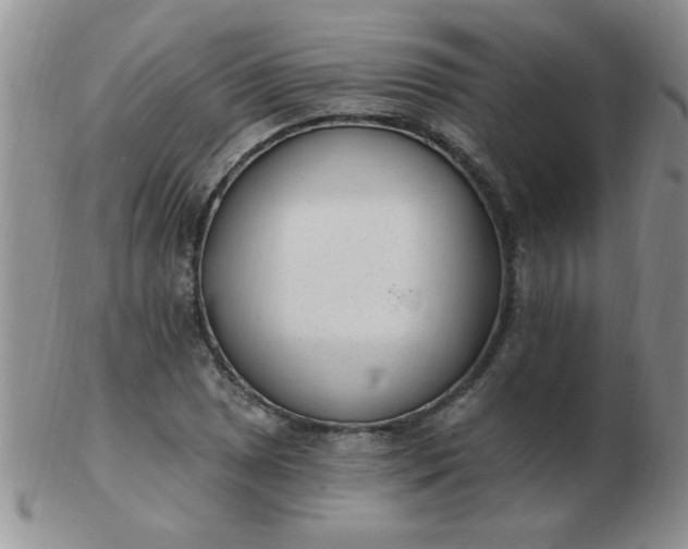 X0000103281025200809121940