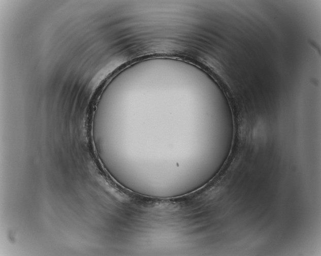 X0000103281026200809121941