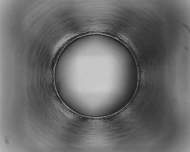 X0000103281027200809121941