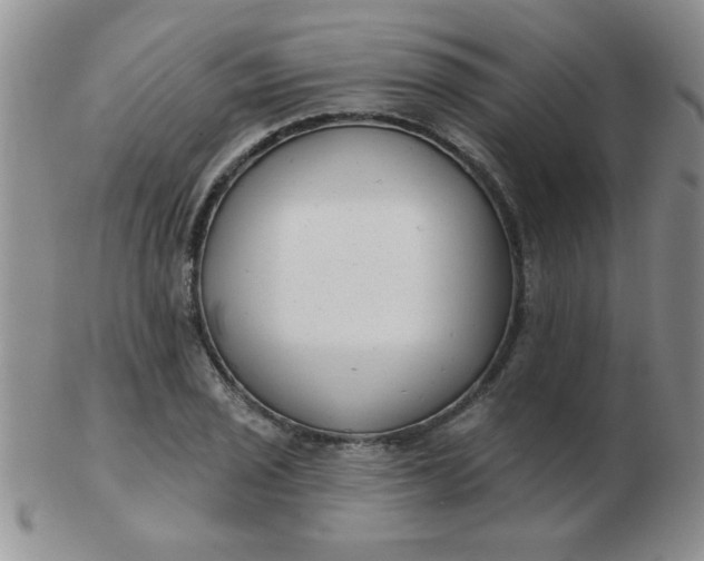 X0000103281029200809121941