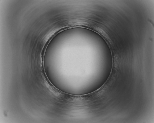 X0000103281031200809121941