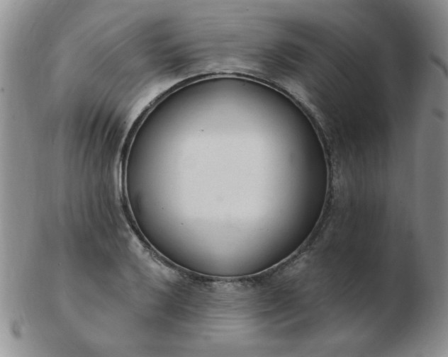 X0000103281032200809121941