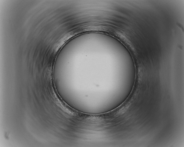 X0000103281033200809121941