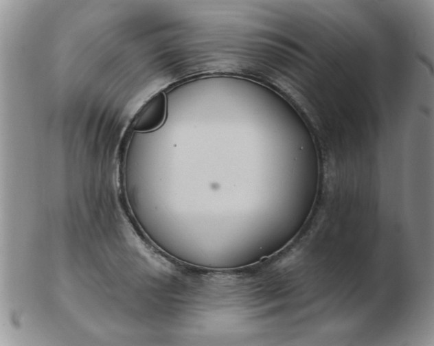 X0000103281034200809121941