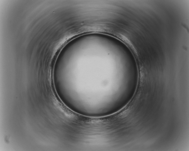 X0000103281035200809121941