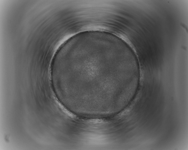 X0000103281037200809121941