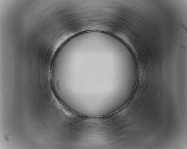 X0000103281040200809121941