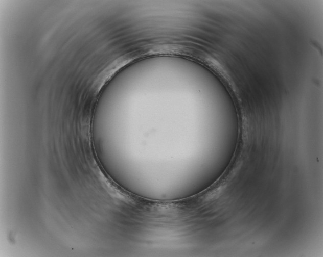 X0000103281041200809121941