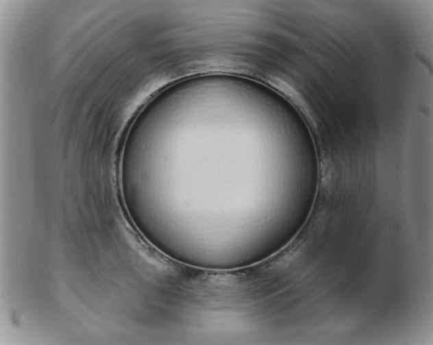 X0000103281043200809121941