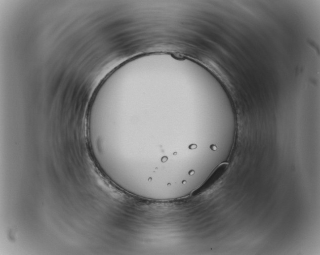 X0000103281044200809121941