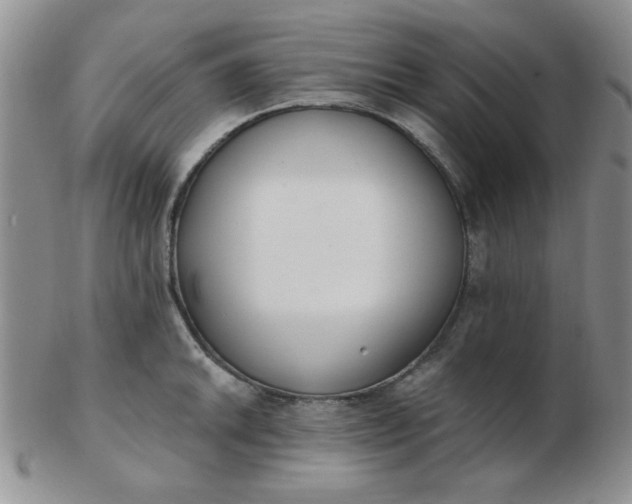 X0000103281046200809121941