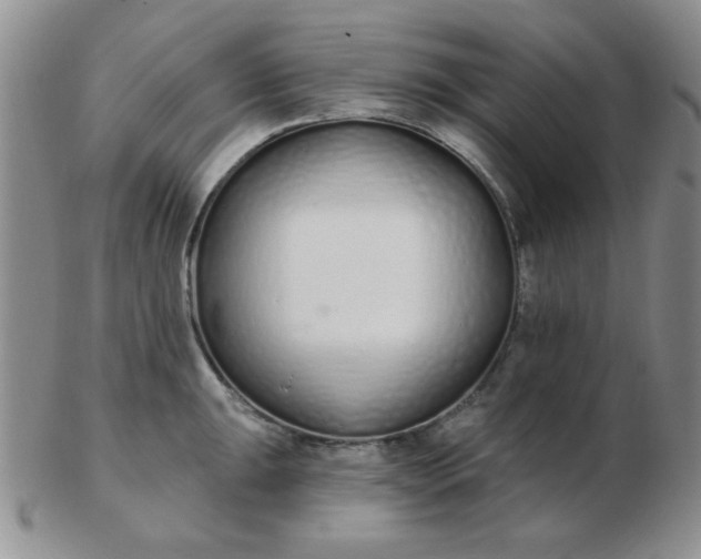 X0000103281047200809121941