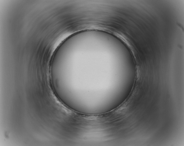 X0000103281048200809121941