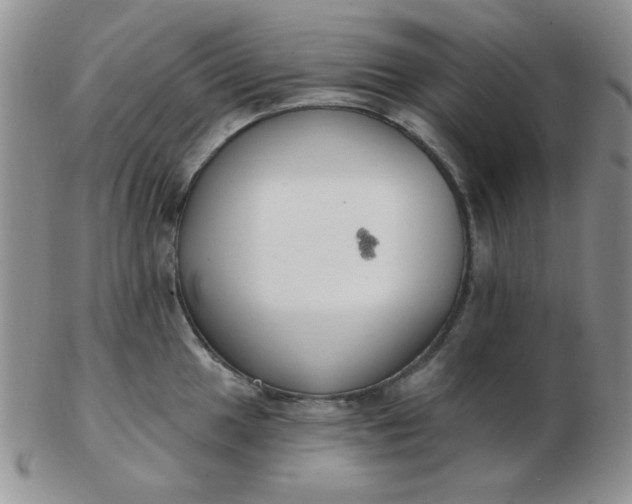 X0000103281049200809121941