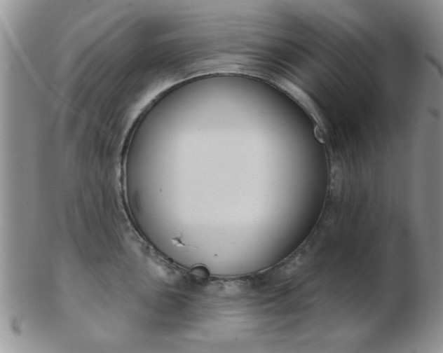 X0000103281051200809121941