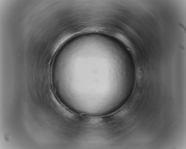 X0000103281055200809121941