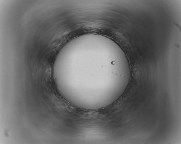 X0000103281061200809121940