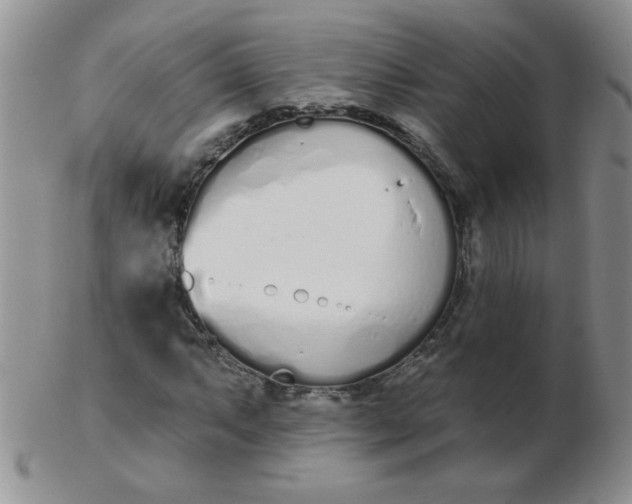 X0000103281063200809121940