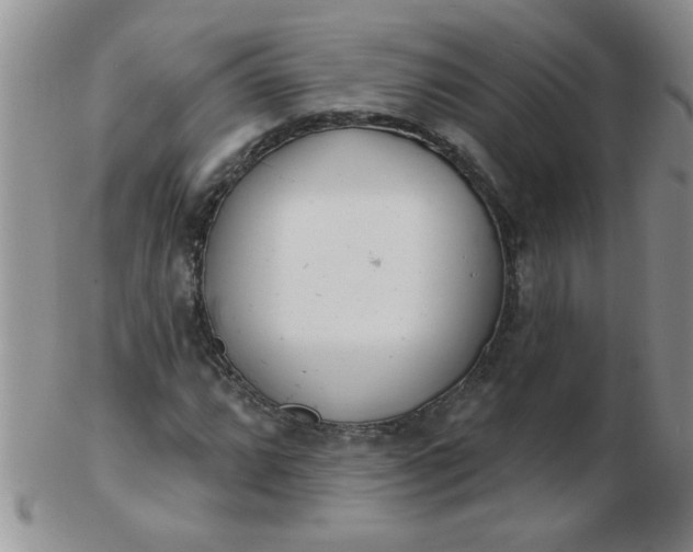 X0000103281064200809121940