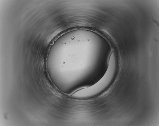 X0000103281065200809121940