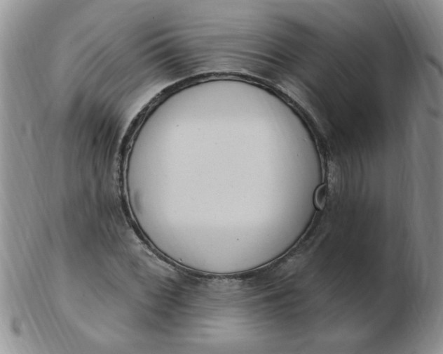 X0000103281068200809121940