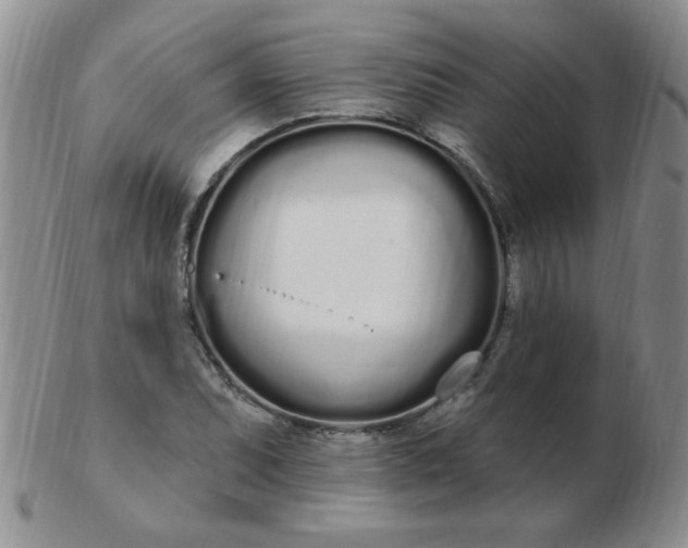 X0000103281071200809121940