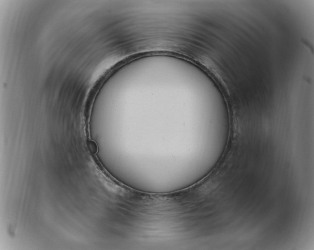 X0000103281072200809121940