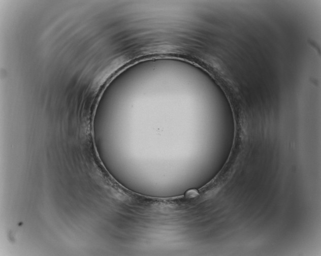 X0000103281073200809121940