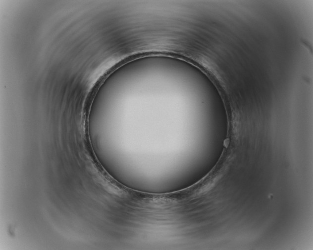 X0000103281077200809121940