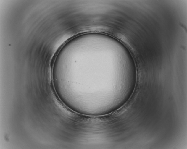 X0000103281079200809121940