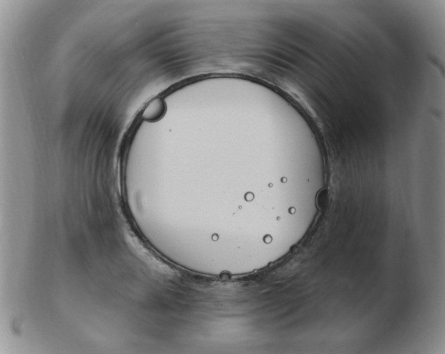 X0000103281080200809121940