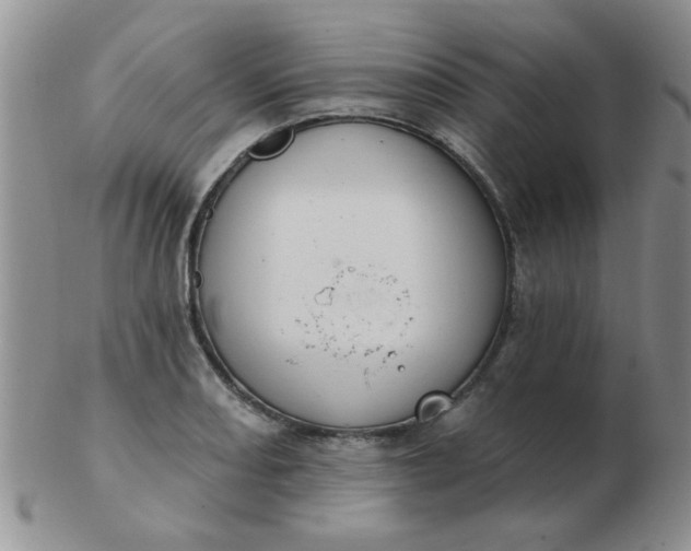 X0000103281082200809121940