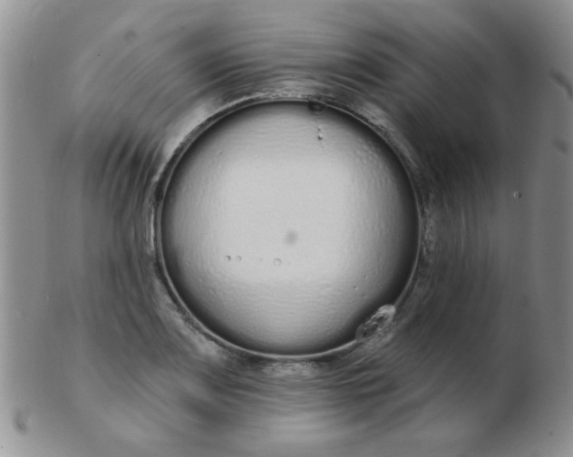 X0000103281083200809121940