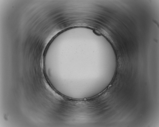 X0000103281084200809121940