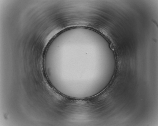 X0000103281085200809121940