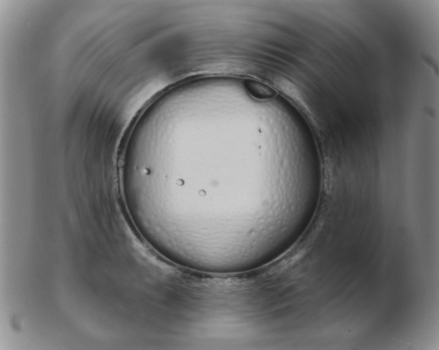 X0000103281087200809121940