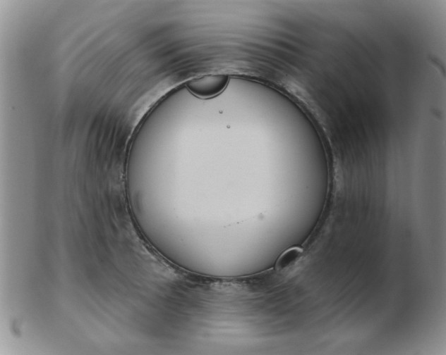 X0000103281089200809121940