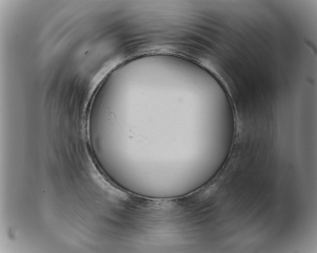 X0000103281090200809121940