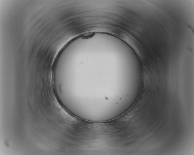 X0000103281092200809121940