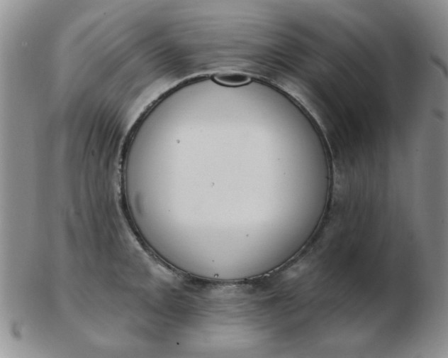 X0000103281093200809121940